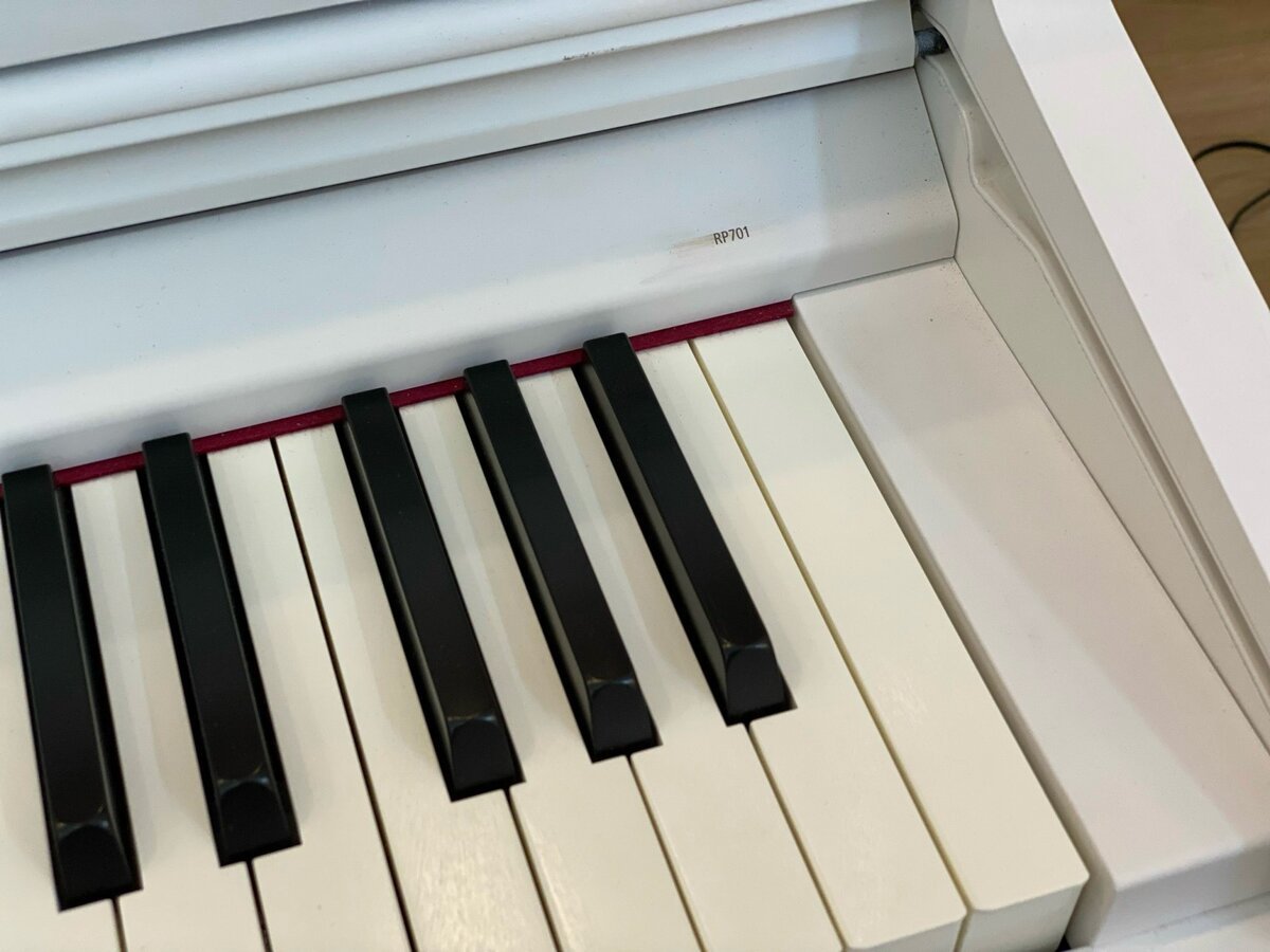 ROLAND RP-701 WH (Used) - Ảnh thực tế 8